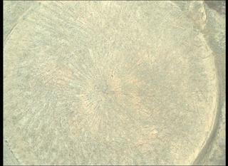 View image taken on Mars, Mars Perseverance Sol 571: WATSON Camera 