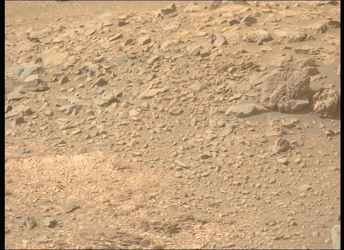 This image was taken by MCZ_LEFT onboard NASA's Mars rover Perseverance on Sol 571