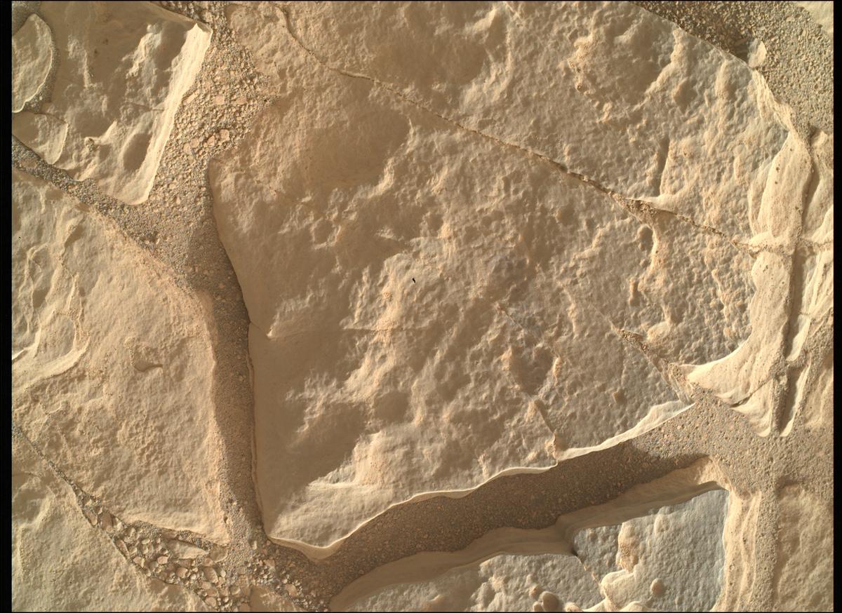 This image was taken by SHERLOC_WATSON onboard NASA's Mars rover Perseverance on Sol 572