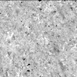 View image taken on Mars, Mars Perseverance Sol 573: SHERLOC ACI Camera 