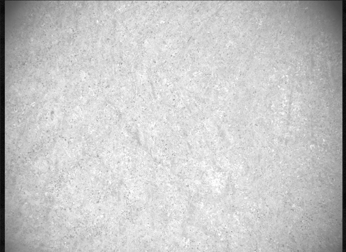 This image was taken by SHERLOC_ACI onboard NASA's Mars rover Perseverance on Sol 573