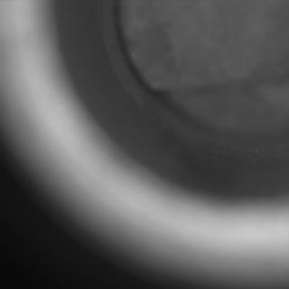 View image taken on Mars, Mars Perseverance Sol 575: Sample Caching System Camera (CacheCam)