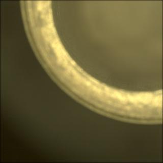 View image taken on Mars, Mars Perseverance Sol 575: Sample Caching System Camera (CacheCam)