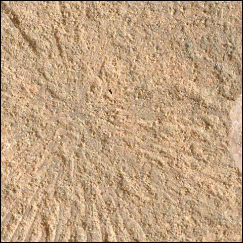 This image was taken by SHERLOC_WATSON onboard NASA's Mars rover Perseverance on Sol 577