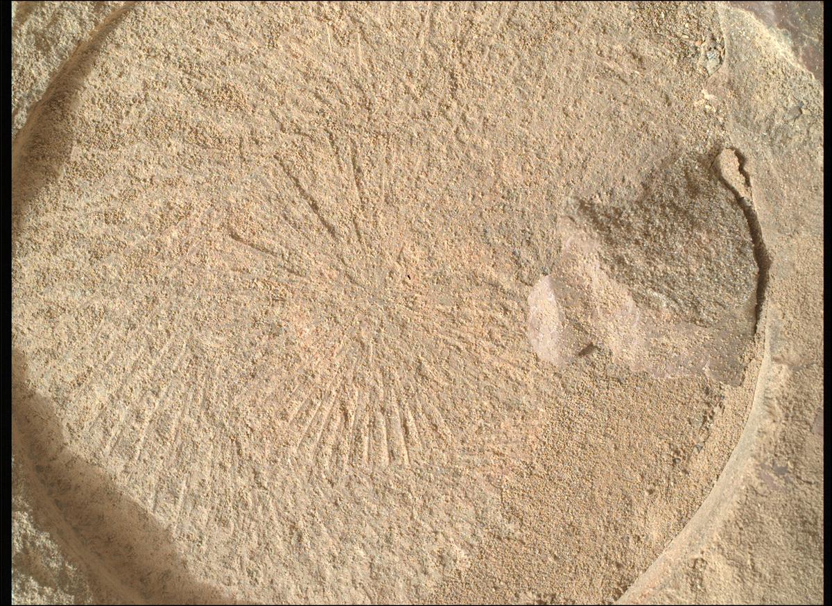 This image was taken by SHERLOC_WATSON onboard NASA's Mars rover Perseverance on Sol 577