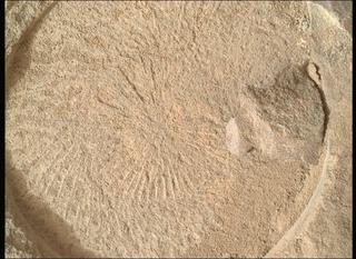 View image taken on Mars, Mars Perseverance Sol 577: WATSON Camera 
