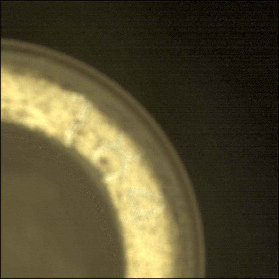 This image was taken by CACHECAM onboard NASA's Mars rover Perseverance on Sol 579