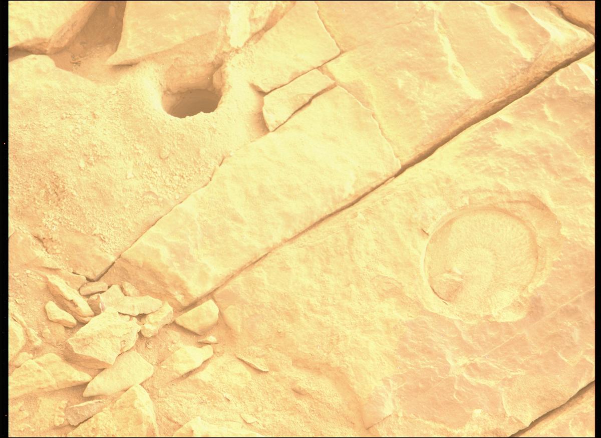 This image was taken by MCZ_LEFT onboard NASA's Mars rover Perseverance on Sol 582