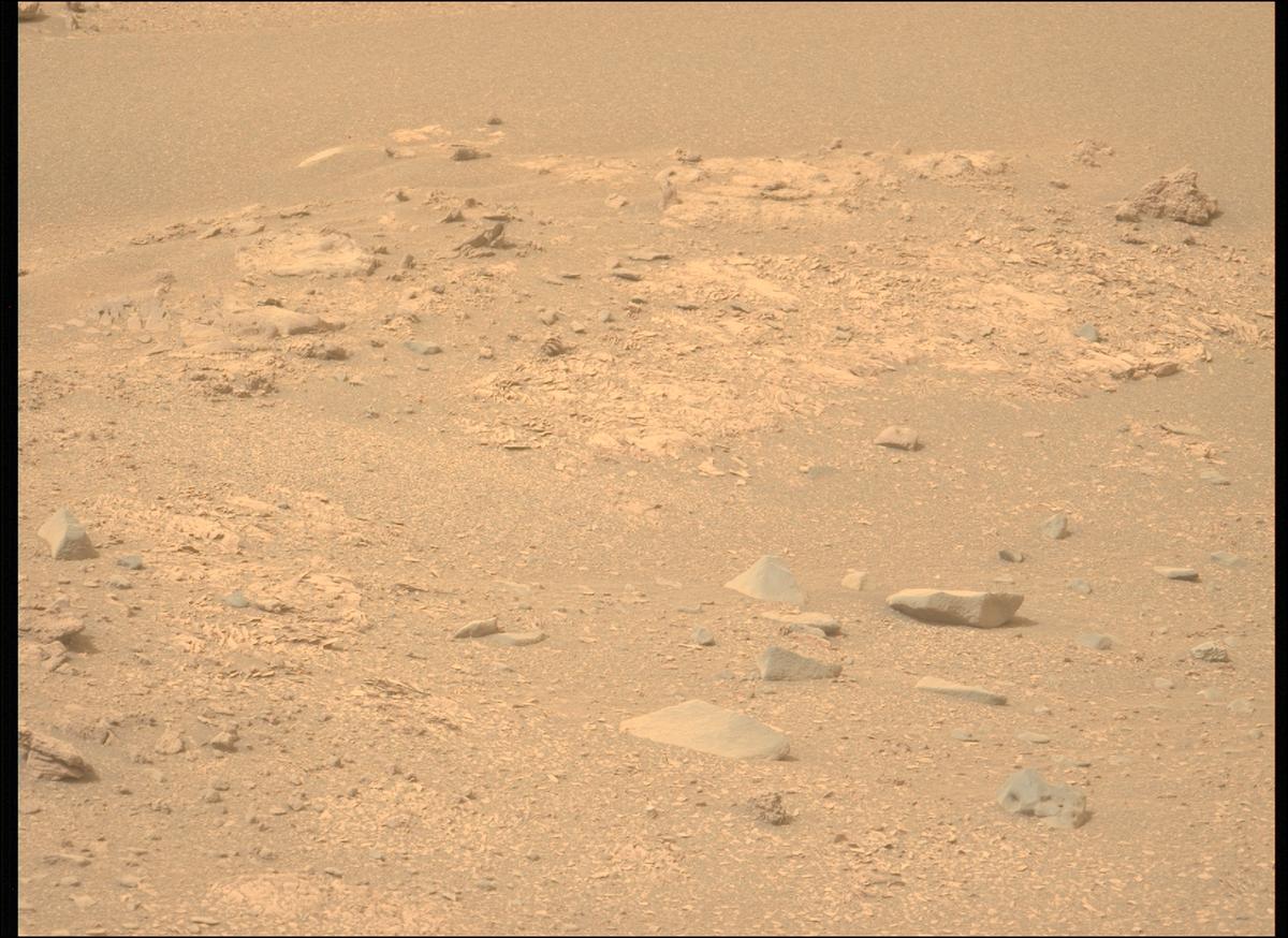 This image was taken by MCZ_LEFT onboard NASA's Mars rover Perseverance on Sol 588
