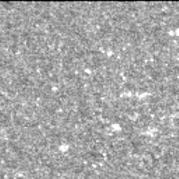 This image was taken by MCZ_LEFT onboard NASA's Mars rover Perseverance on Sol 588