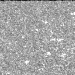 View image taken on Mars, Mars Perseverance Sol 588: Left Mastcam-Z Camera