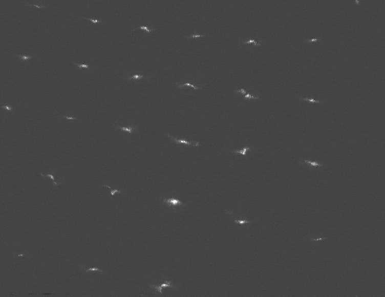 This image was taken by PIXL_MCC onboard NASA's Mars rover Perseverance on Sol 589