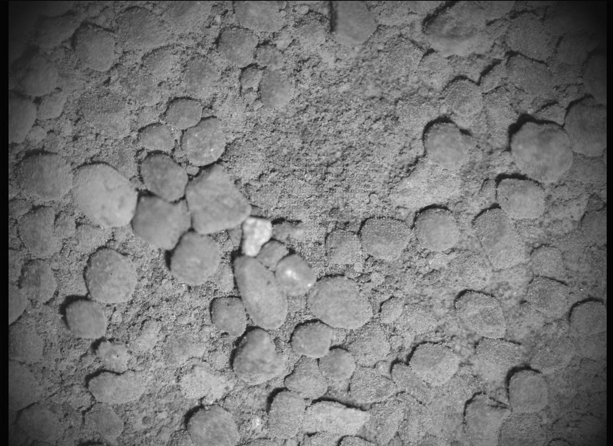 This image was taken by SHERLOC_ACI onboard NASA's Mars rover Perseverance on Sol 589