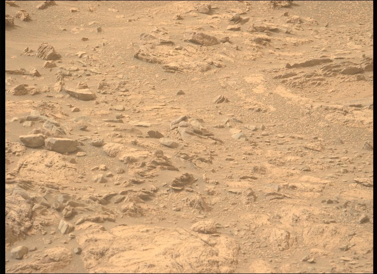 This image was taken by MCZ_LEFT onboard NASA's Mars rover Perseverance on Sol 591