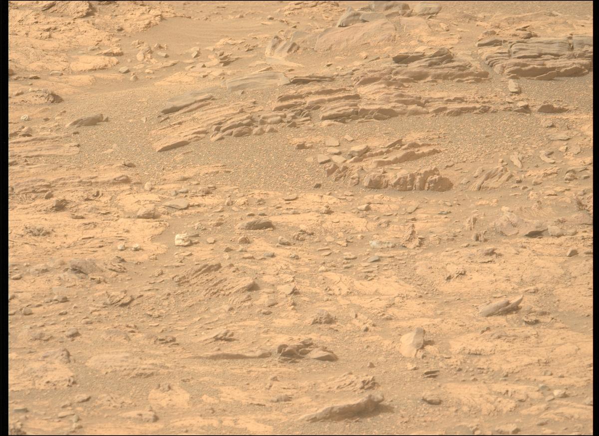 This image was taken by MCZ_LEFT onboard NASA's Mars rover Perseverance on Sol 591