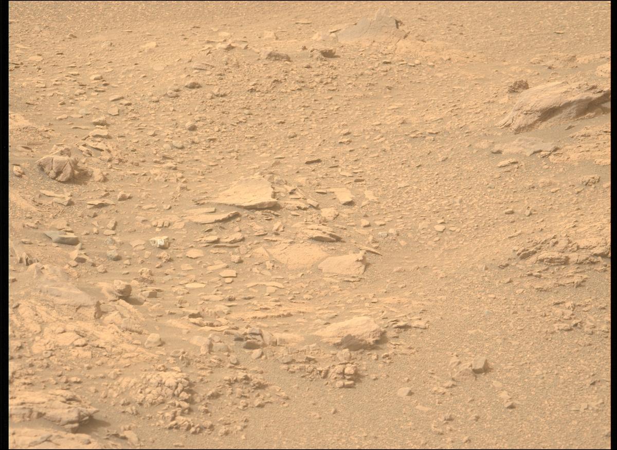 This image was taken by MCZ_LEFT onboard NASA's Mars rover Perseverance on Sol 591
