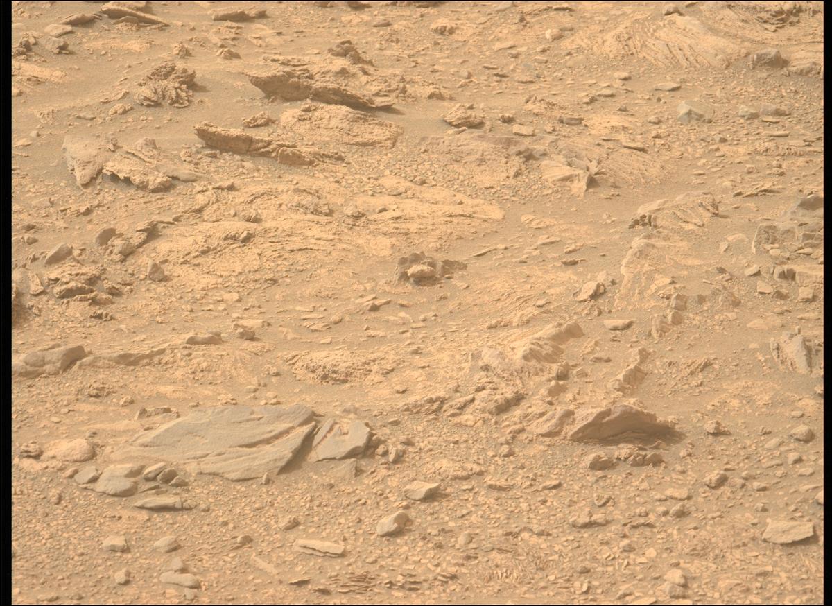 This image was taken by MCZ_LEFT onboard NASA's Mars rover Perseverance on Sol 591