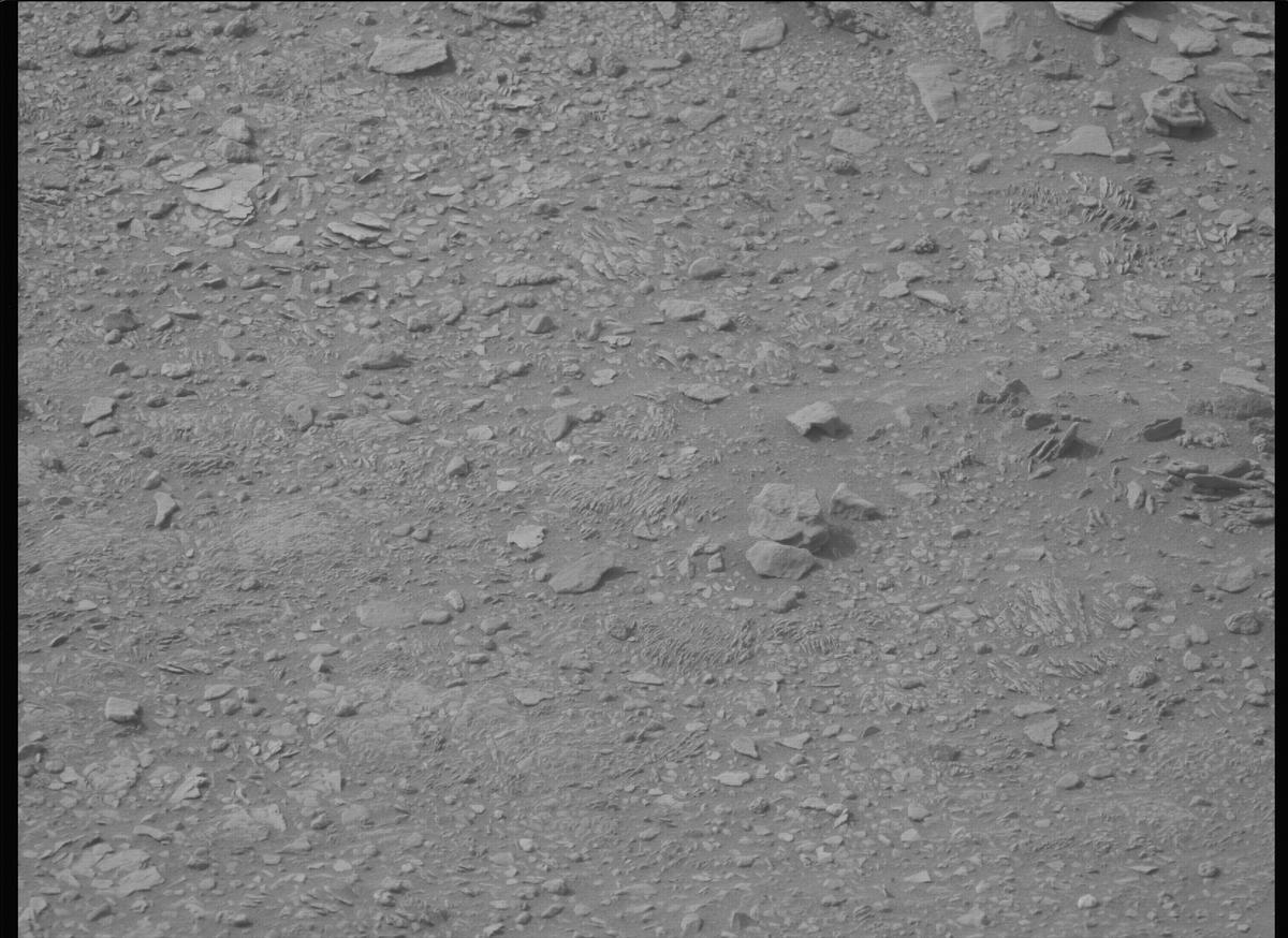 This image was taken by MCZ_LEFT onboard NASA's Mars rover Perseverance on Sol 591