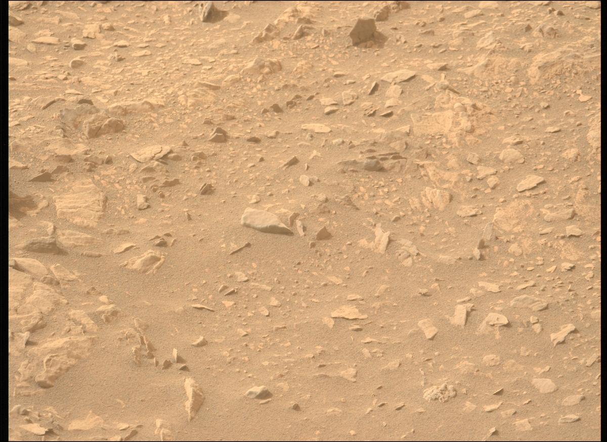 This image was taken by MCZ_LEFT onboard NASA's Mars rover Perseverance on Sol 591