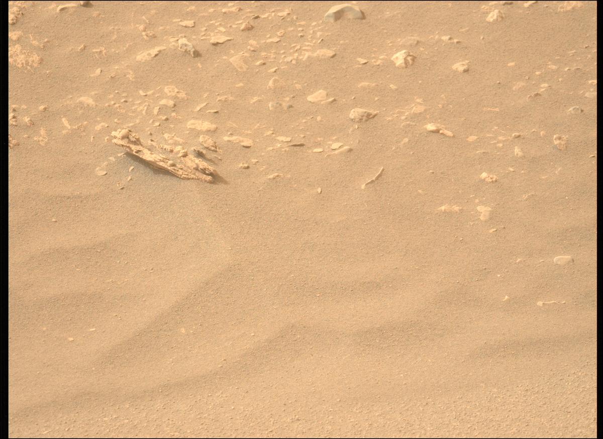 This image was taken by MCZ_LEFT onboard NASA's Mars rover Perseverance on Sol 591