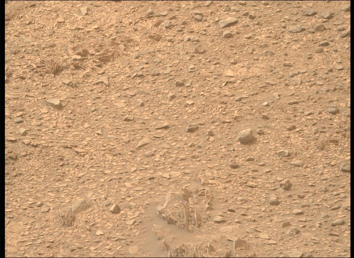 This image was taken by MCZ_RIGHT onboard NASA's Mars rover Perseverance on Sol 591
