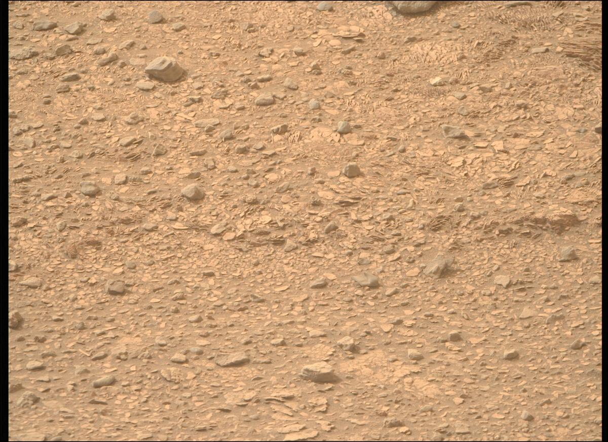 This image was taken by MCZ_RIGHT onboard NASA's Mars rover Perseverance on Sol 591