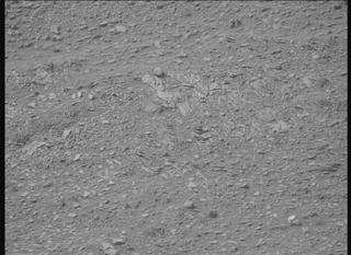 View image taken on Mars, Mars Perseverance Sol 591: Right Mastcam-Z Camera