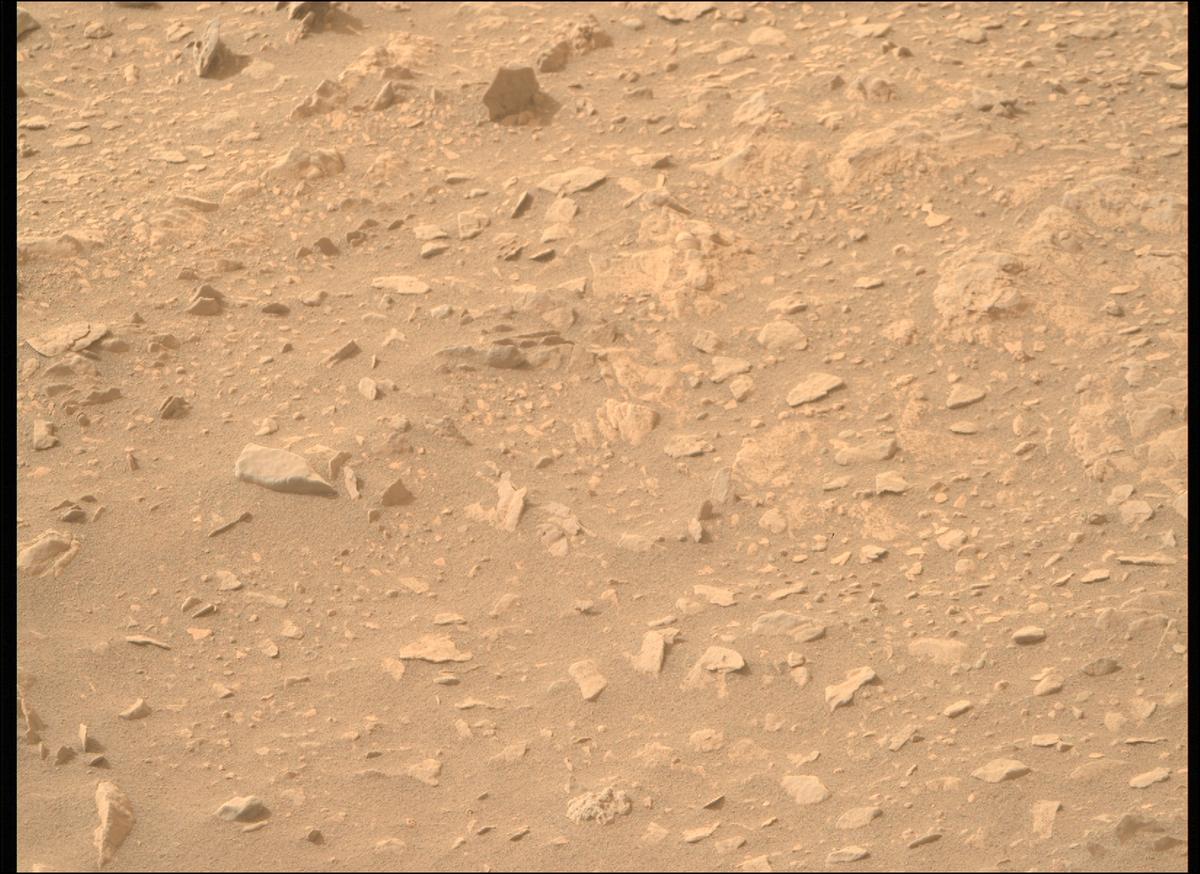This image was taken by MCZ_RIGHT onboard NASA's Mars rover Perseverance on Sol 591
