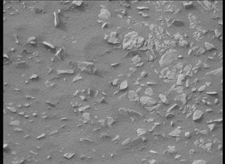 View image taken on Mars, Mars Perseverance Sol 592: Left Mastcam-Z Camera