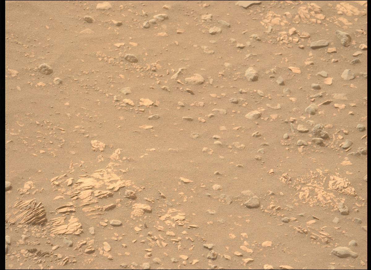 This image was taken by MCZ_LEFT onboard NASA's Mars rover Perseverance on Sol 593