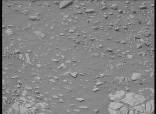 View image taken on Mars, Mars Perseverance Sol 593: Left Mastcam-Z Camera
