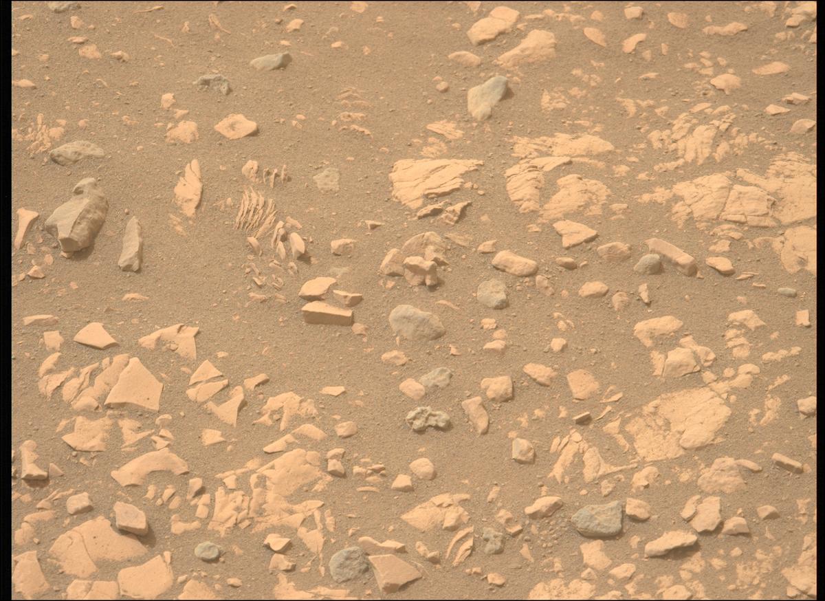 This image was taken by MCZ_LEFT onboard NASA's Mars rover Perseverance on Sol 593
