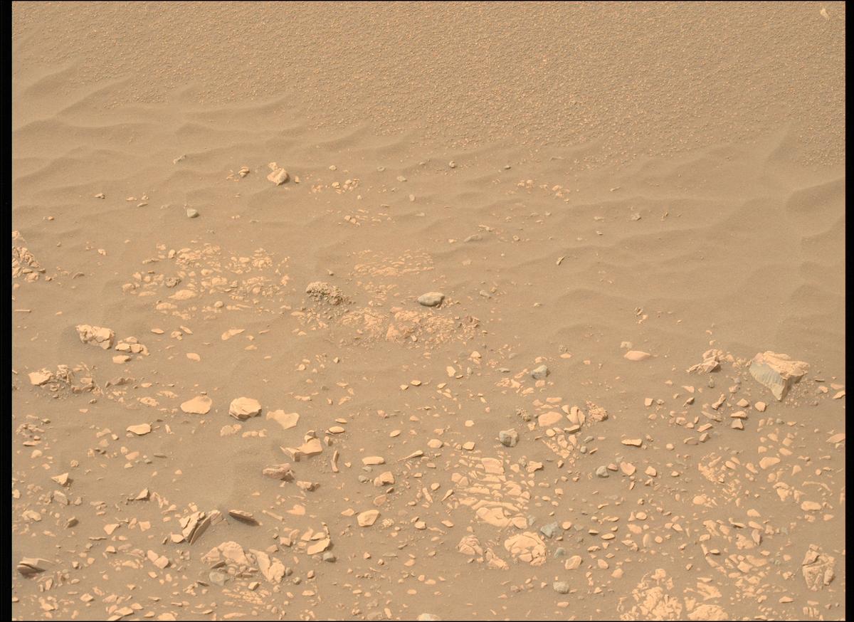 This image was taken by MCZ_LEFT onboard NASA's Mars rover Perseverance on Sol 593