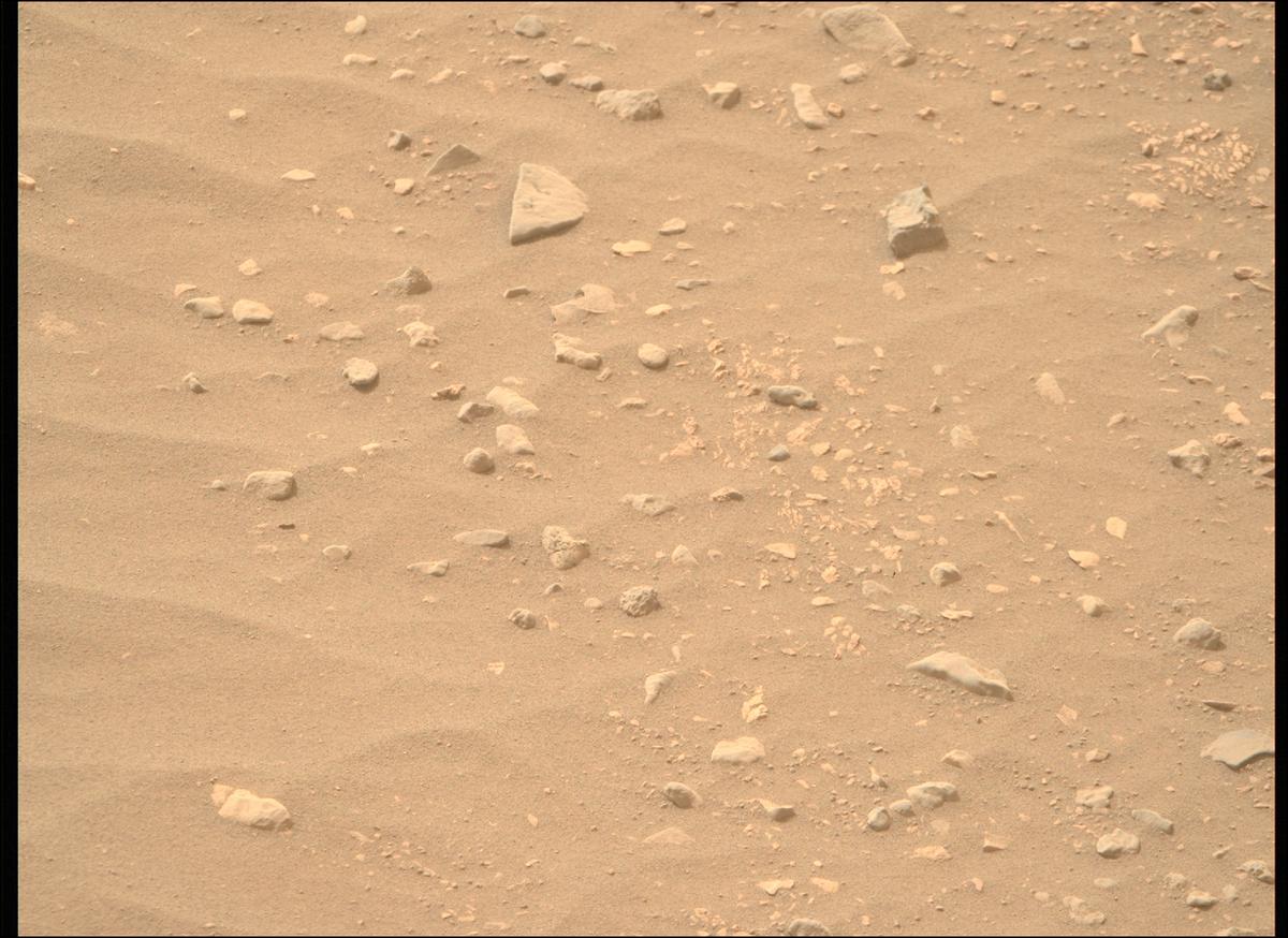 This image was taken by MCZ_RIGHT onboard NASA's Mars rover Perseverance on Sol 593