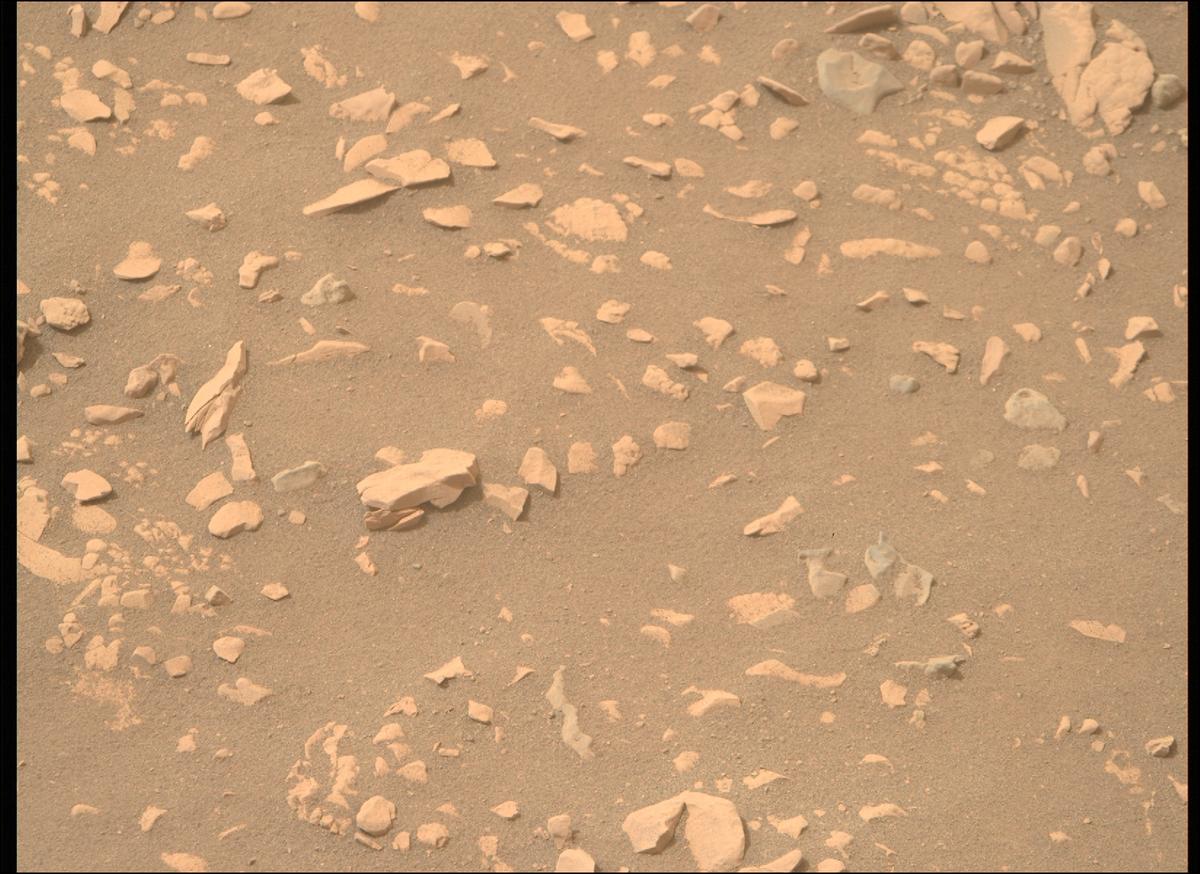 This image was taken by MCZ_RIGHT onboard NASA's Mars rover Perseverance on Sol 593