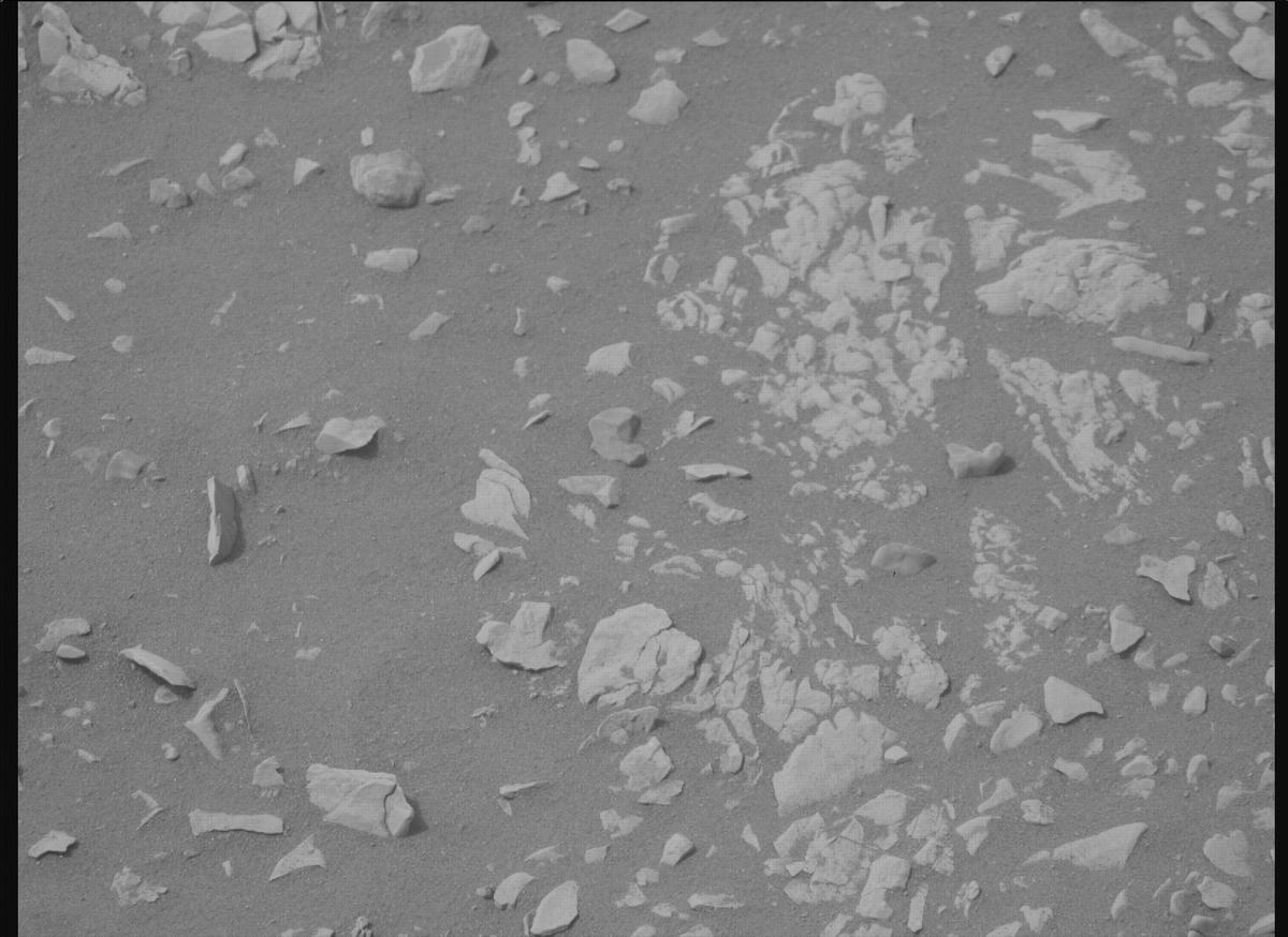 This image was taken by MCZ_RIGHT onboard NASA's Mars rover Perseverance on Sol 593