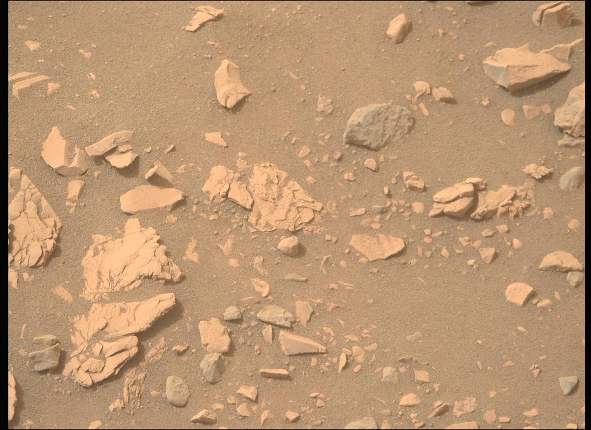 This image was taken by MCZ_RIGHT onboard NASA's Mars rover Perseverance on Sol 593
