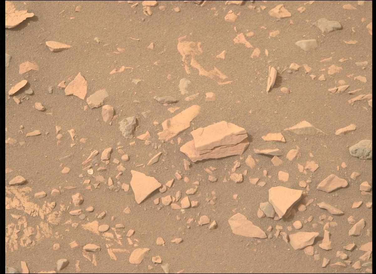 This image was taken by MCZ_RIGHT onboard NASA's Mars rover Perseverance on Sol 593