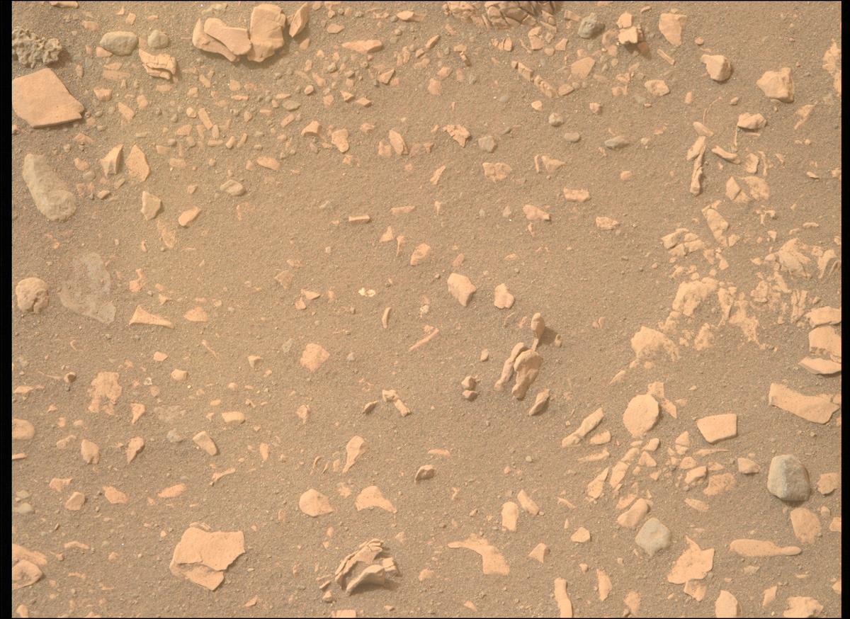 This image was taken by MCZ_RIGHT onboard NASA's Mars rover Perseverance on Sol 593