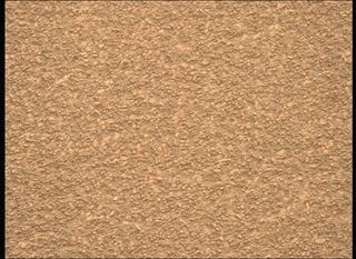 View image taken on Mars, Mars Perseverance Sol 593: Right Mastcam-Z Camera