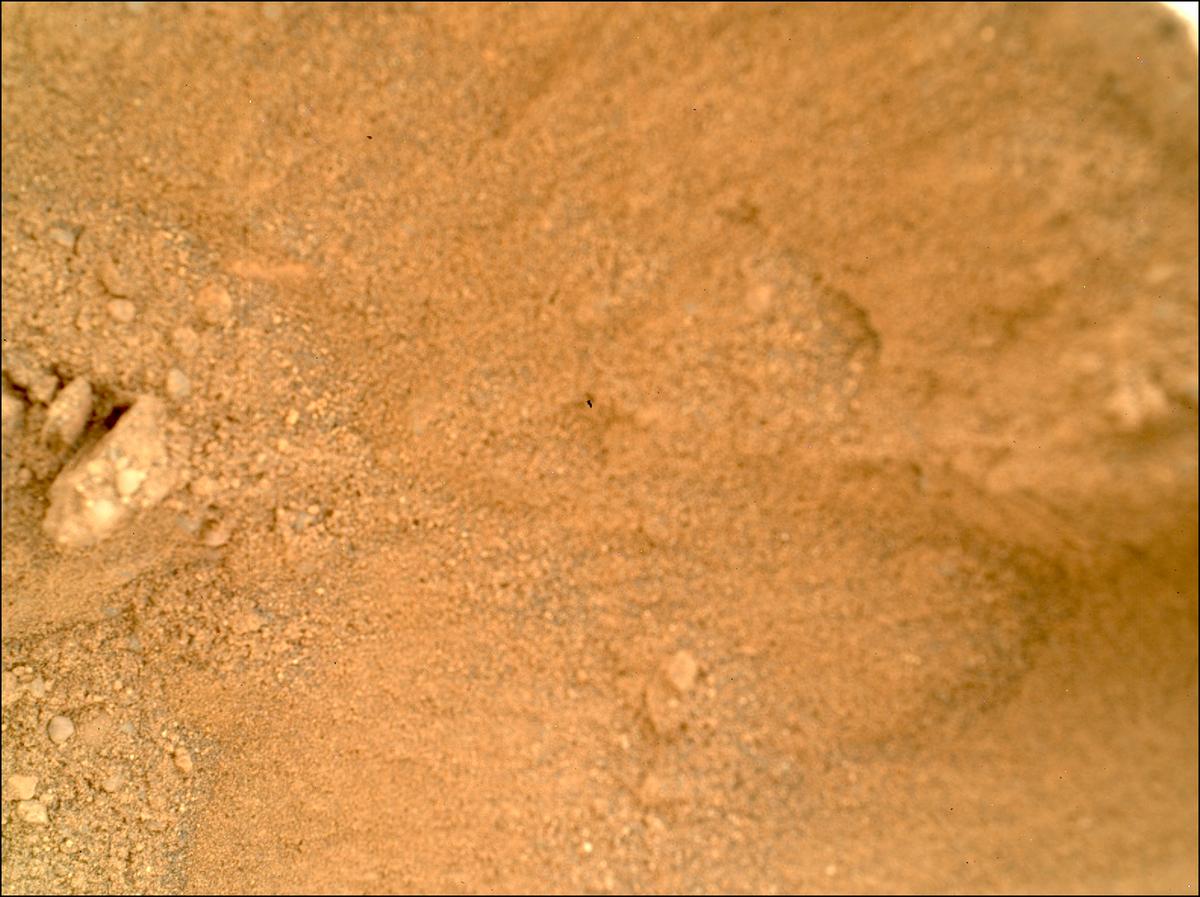 This image was taken by SHERLOC_WATSON onboard NASA's Mars rover Perseverance on Sol 594