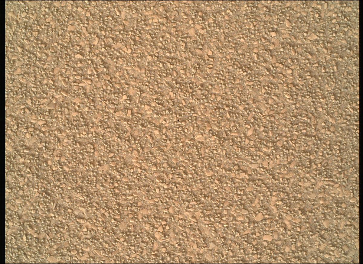 This image was taken by SHERLOC_WATSON onboard NASA's Mars rover Perseverance on Sol 594