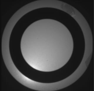 View image taken on Mars, Mars Perseverance Sol 598: SkyCam Camera 