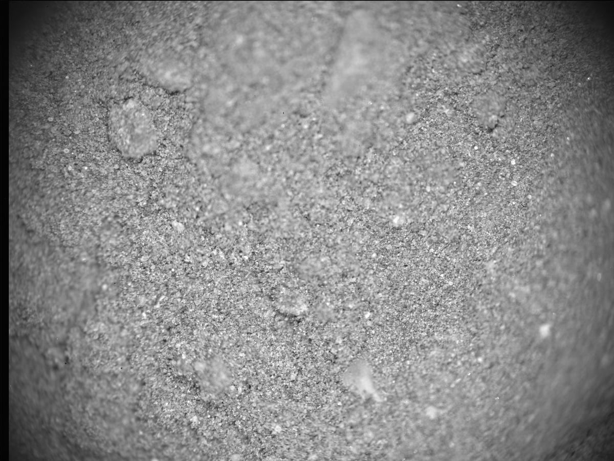 This image was taken by SHERLOC_ACI onboard NASA's Mars rover Perseverance on Sol 598