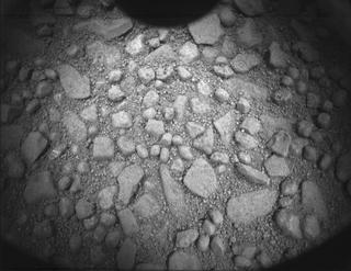 View image taken on Mars, Mars Perseverance Sol 601: PIXL Camera 