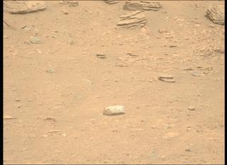 View image taken on Mars, Mars Perseverance Sol 604: Left Mastcam-Z Camera