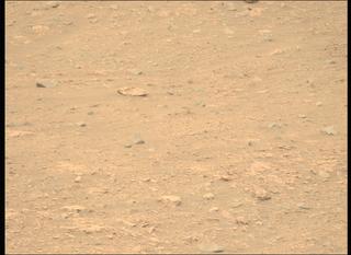 View image taken on Mars, Mars Perseverance Sol 604: Left Mastcam-Z Camera