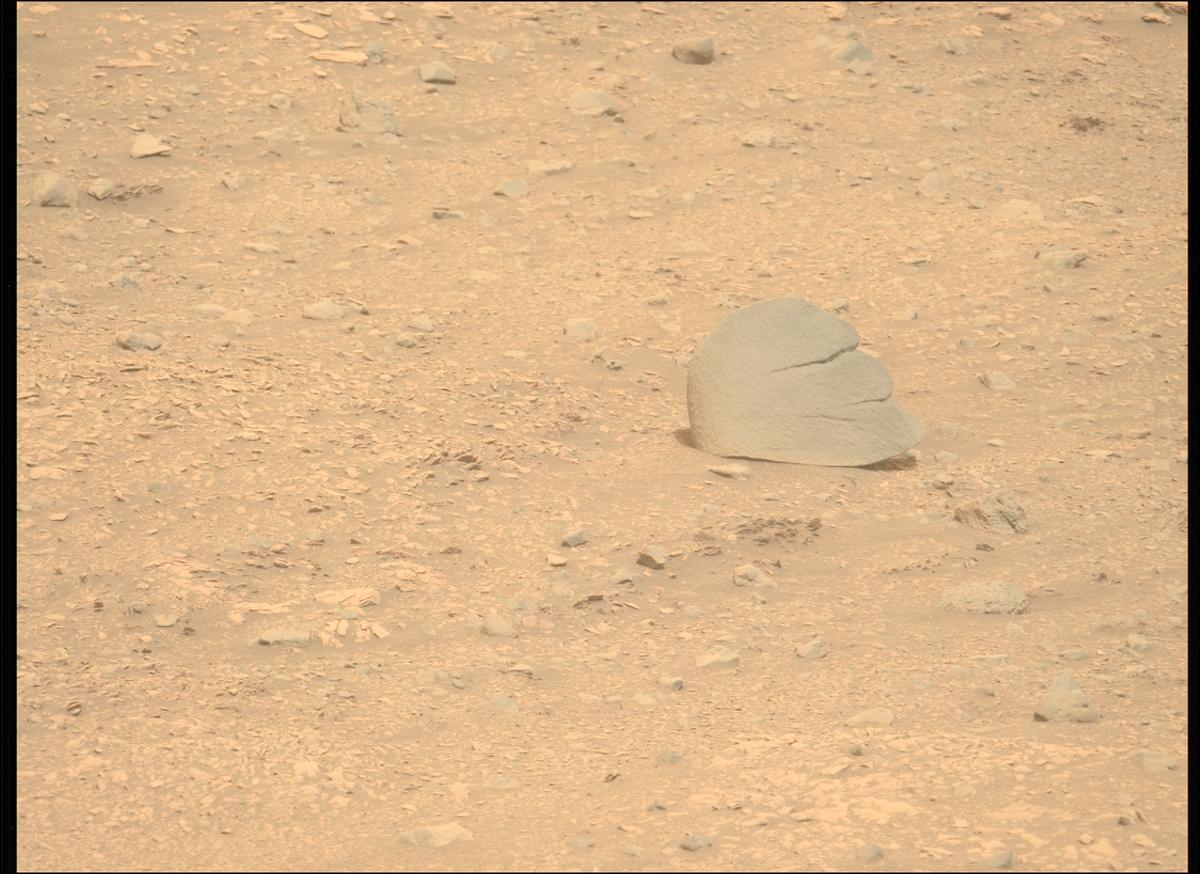 This image was taken by MCZ_LEFT onboard NASA's Mars rover Perseverance on Sol 604