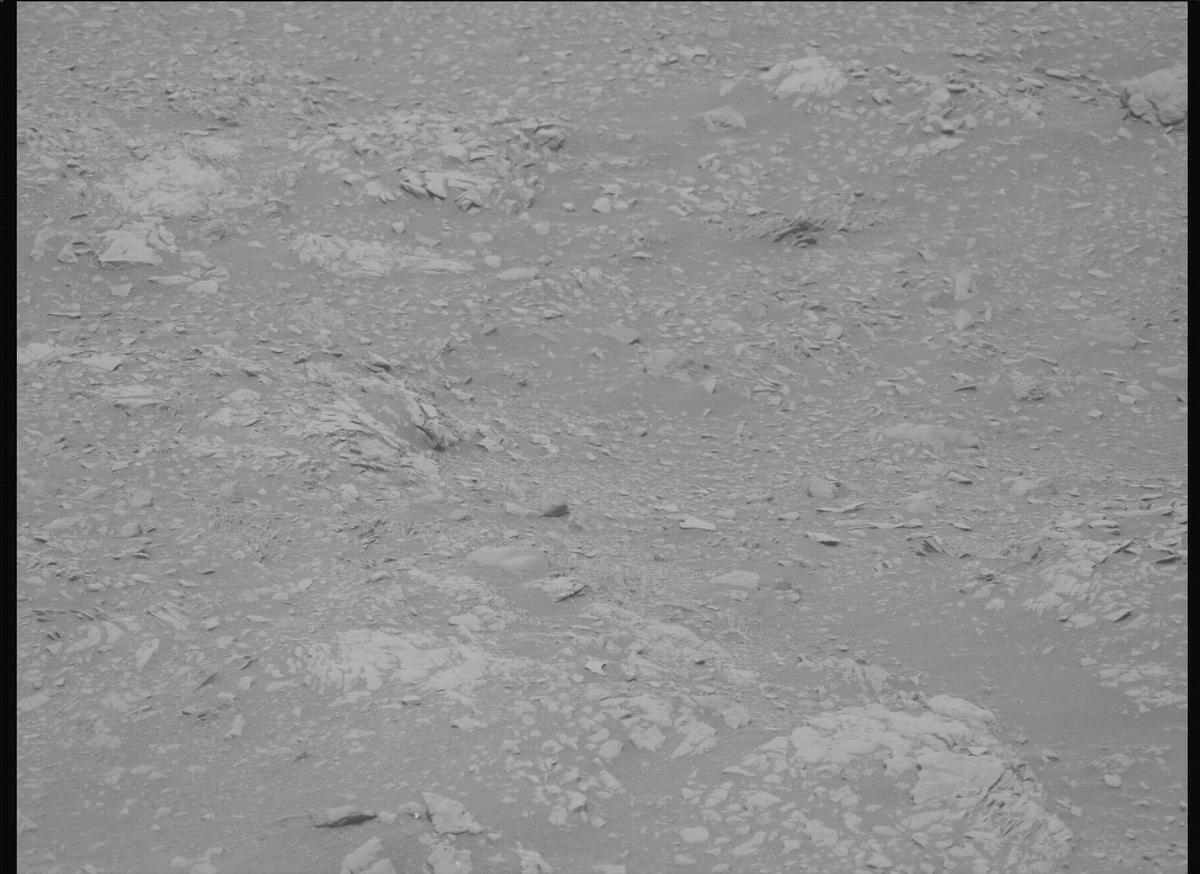 This image was taken by MCZ_LEFT onboard NASA's Mars rover Perseverance on Sol 604