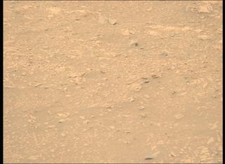 View image taken on Mars, Mars Perseverance Sol 604: Left Mastcam-Z Camera